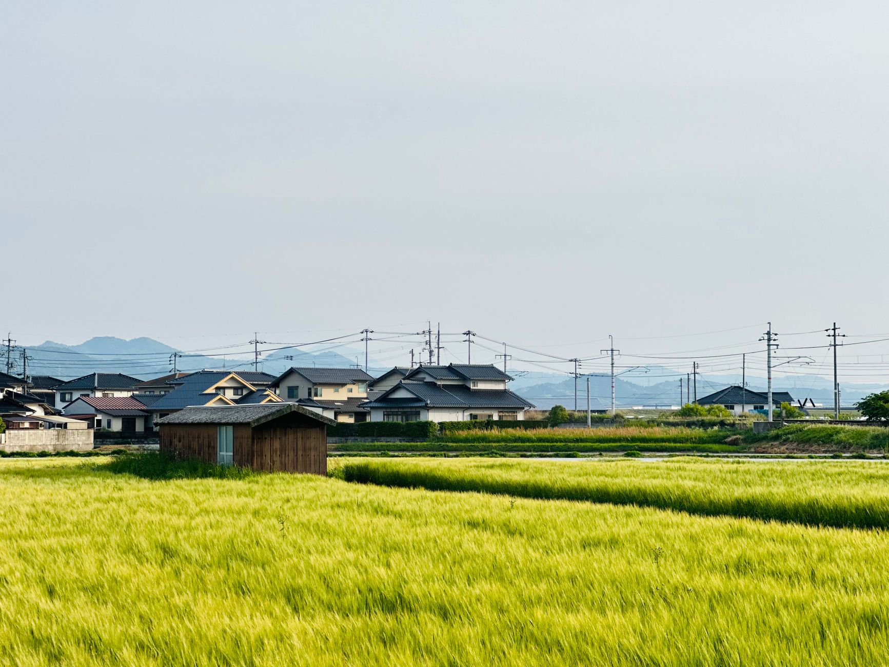岡山の農地付き不動産の活用方法｜農転手続きと賃貸化のポイント