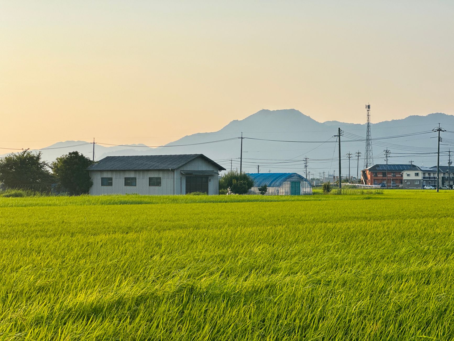 岡山の農地付き不動産の活用方法｜農転手続きと賃貸化のポイント