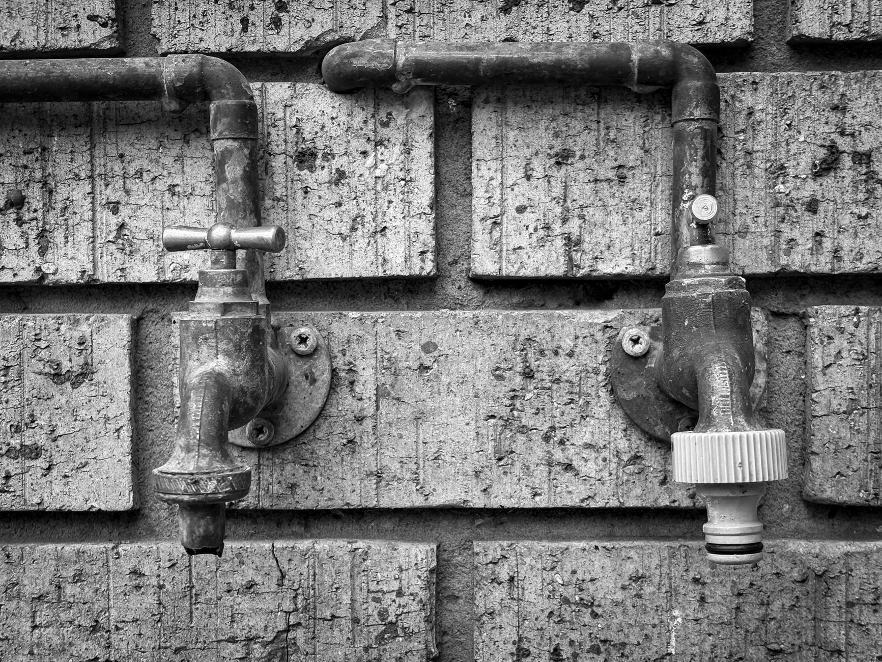 水回りの通水確認
